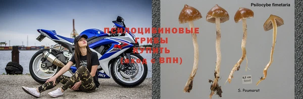 a pvp Абдулино