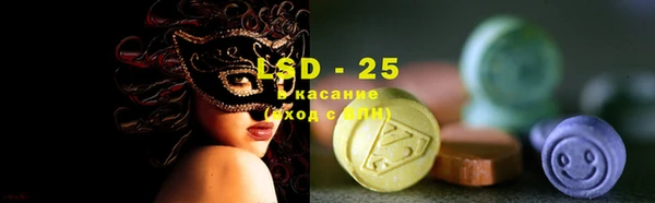 ГАЛЛЮЦИНОГЕННЫЕ ГРИБЫ Галич