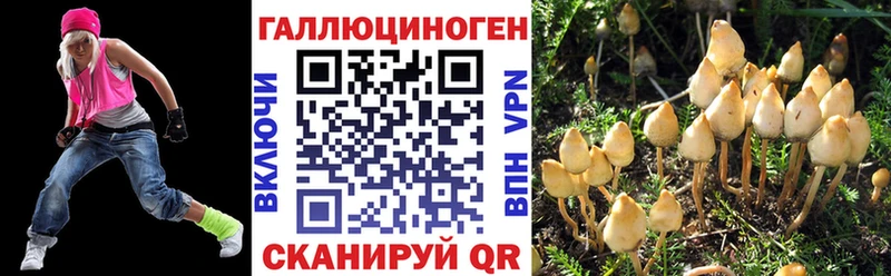 Псилоцибиновые грибы Cubensis  где можно купить   Кизляр 