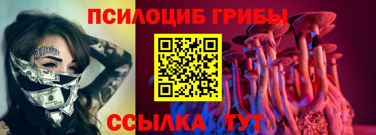 Псилоцибиновые грибы GOLDEN TEACHER  Вход с VPN  Кизляр 